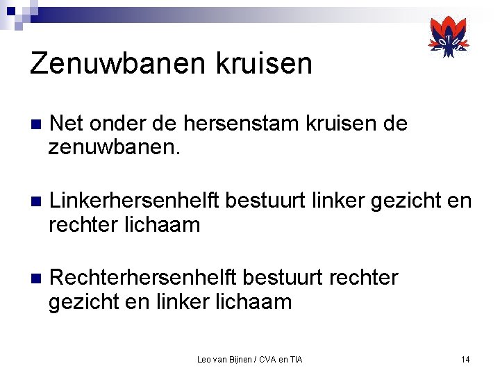 Zenuwbanen kruisen n Net onder de hersenstam kruisen de zenuwbanen. n Linkerhersenhelft bestuurt linker