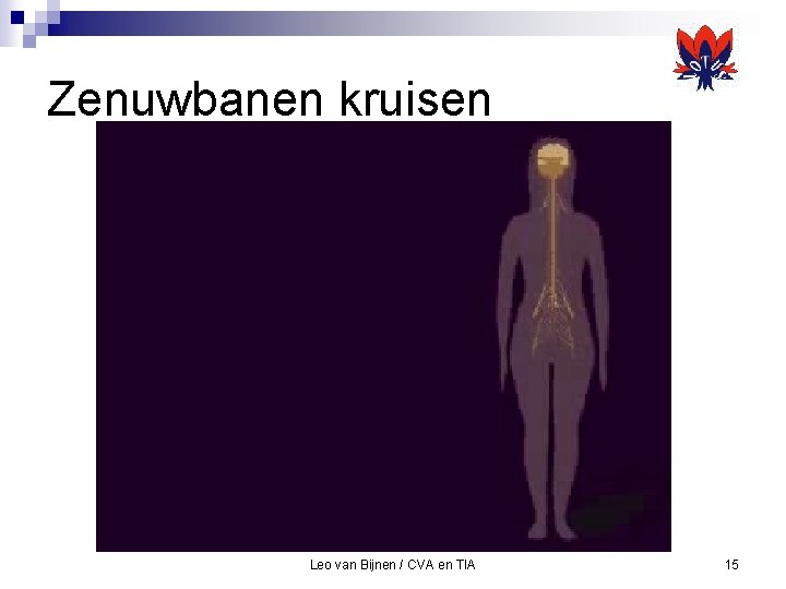 Zenuwbanen kruisen Leo van Bijnen / CVA en TIA 15 