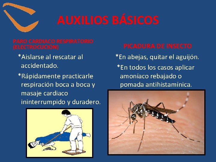 AUXILIOS BÁSICOS PARO CARDIACO RESPIRATORIO (ELECTROCUCIÓN) *Aislarse al rescatar al accidentado. *Rápidamente practicarle respiración