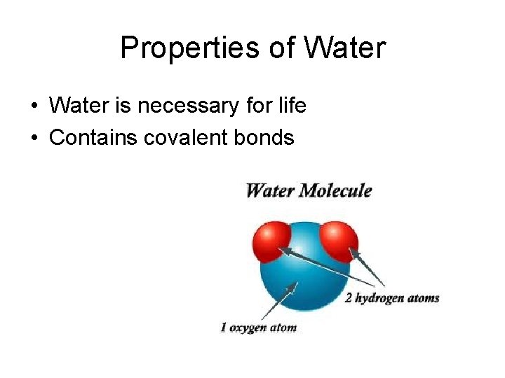 Properties of Water • Water is necessary for life • Contains covalent bonds 