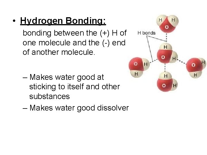  • Hydrogen Bonding: bonding between the (+) H of one molecule and the