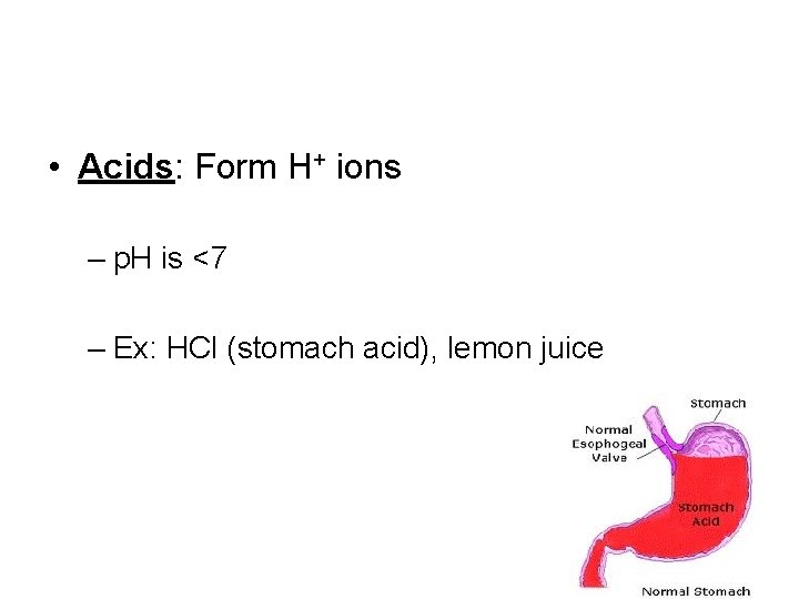  • Acids: Form H+ ions – p. H is <7 – Ex: HCl