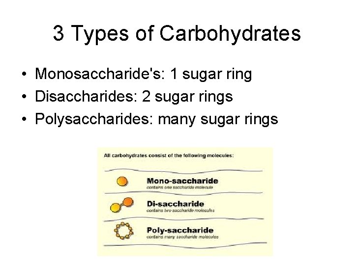 3 Types of Carbohydrates • Monosaccharide's: 1 sugar ring • Disaccharides: 2 sugar rings