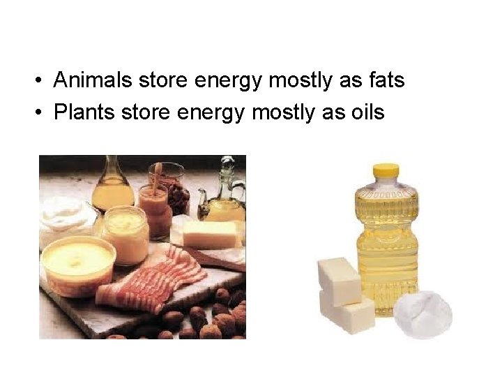  • Animals store energy mostly as fats • Plants store energy mostly as