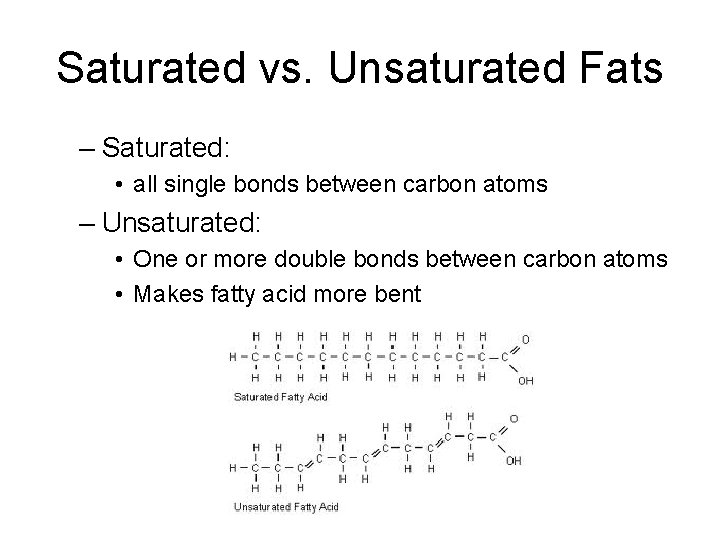 Saturated vs. Unsaturated Fats – Saturated: • all single bonds between carbon atoms –