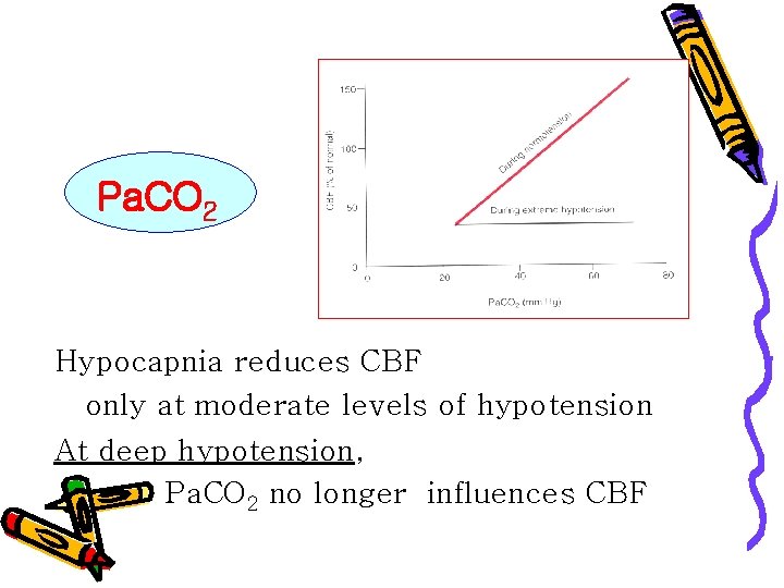 Pa. CO 2 Hypocapnia reduces CBF only at moderate levels of hypotension At deep
