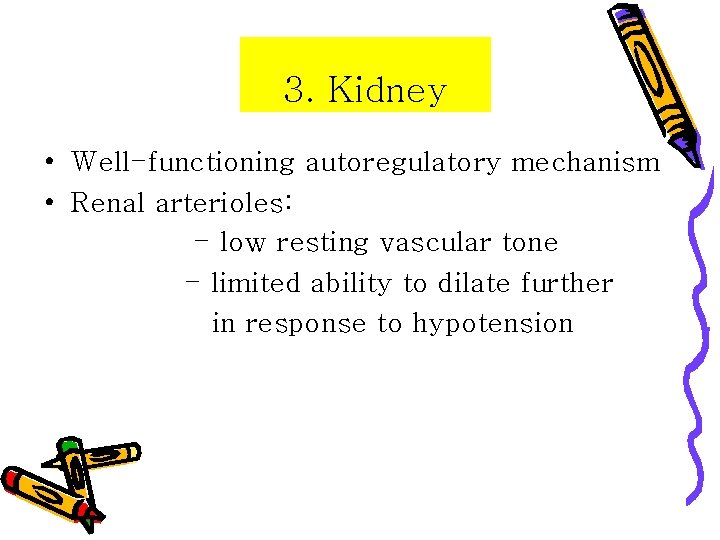 3. Kidney • Well-functioning autoregulatory mechanism • Renal arterioles: - low resting vascular tone