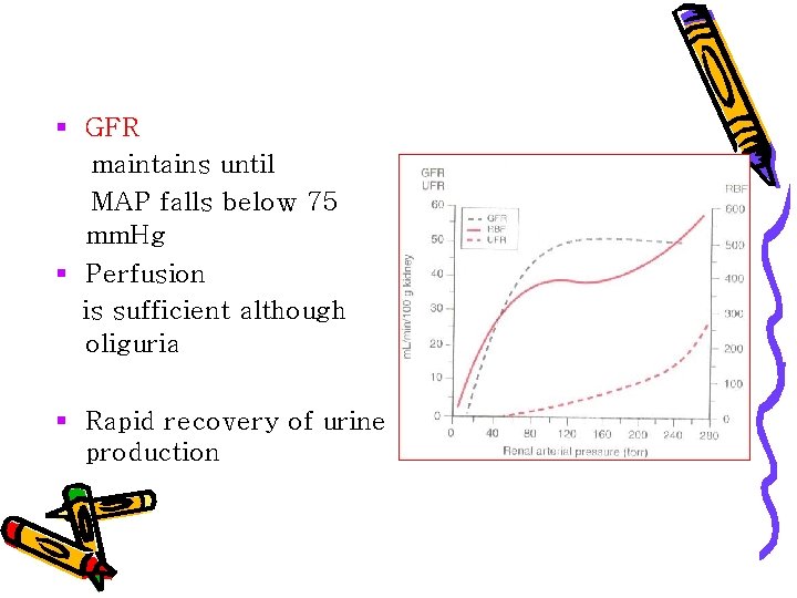 § GFR maintains until MAP falls below 75 mm. Hg § Perfusion is sufficient