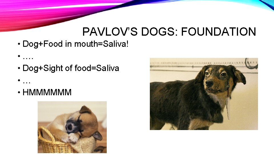 PAVLOV’S DOGS: FOUNDATION • Dog+Food in mouth=Saliva! • …. • Dog+Sight of food=Saliva •