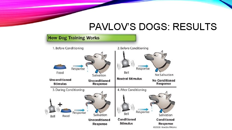 PAVLOV’S DOGS: RESULTS 