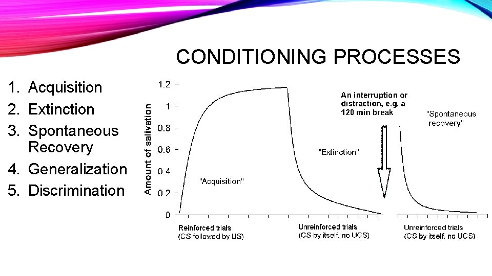 CONDITIONING PROCESSES 1. Acquisition 2. Extinction 3. Spontaneous Recovery 4. Generalization 5. Discrimination 