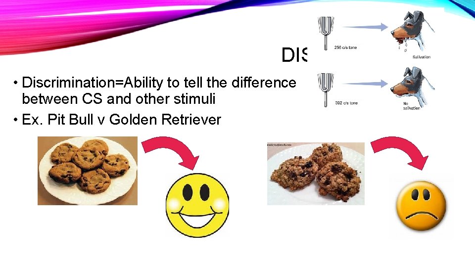 DISCRIMINATION • Discrimination=Ability to tell the difference between CS and other stimuli • Ex.