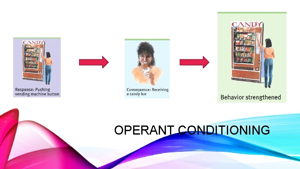 OPERANT CONDITIONING 