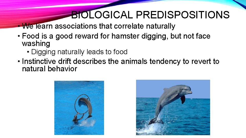 BIOLOGICAL PREDISPOSITIONS • We learn associations that correlate naturally • Food is a good