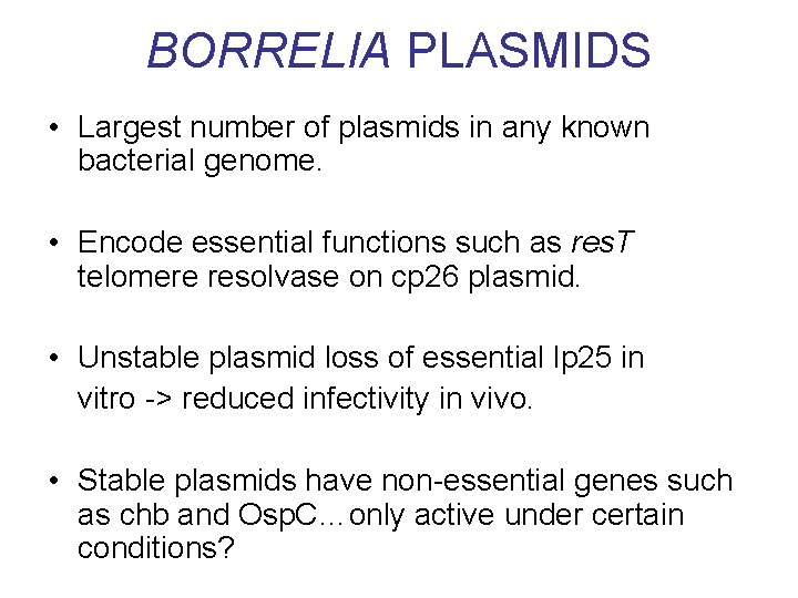 BORRELIA PLASMIDS • Largest number of plasmids in any known bacterial genome. • Encode