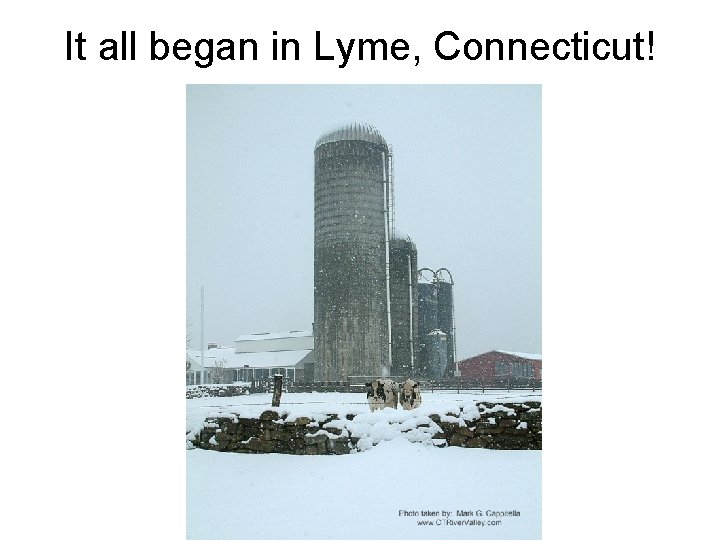 It all began in Lyme, Connecticut! 