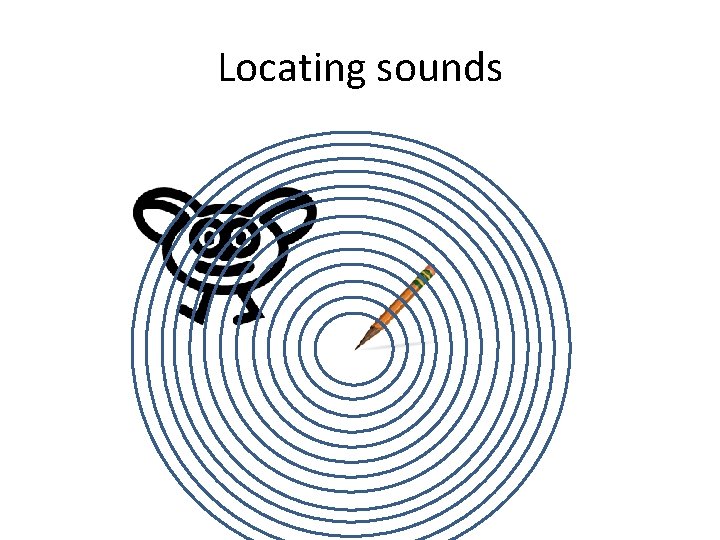 Locating sounds 