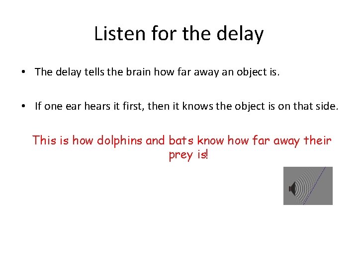 Listen for the delay • The delay tells the brain how far away an