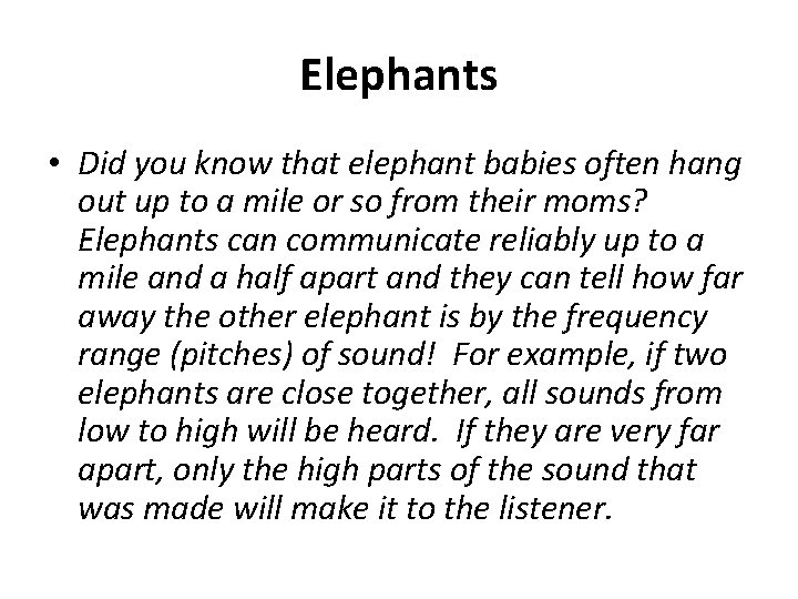 Elephants • Did you know that elephant babies often hang out up to a