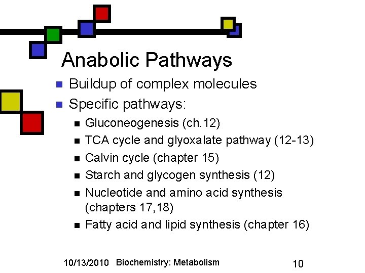 Anabolic Pathways n n Buildup of complex molecules Specific pathways: n n n Gluconeogenesis