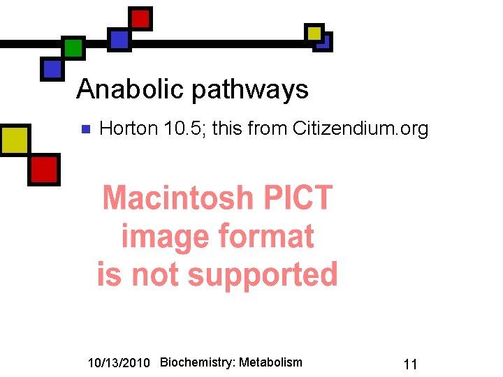 Anabolic pathways n Horton 10. 5; this from Citizendium. org 10/13/2010 Biochemistry: Metabolism 11