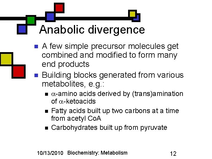 Anabolic divergence n n A few simple precursor molecules get combined and modified to