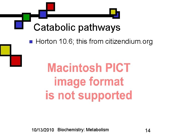 Catabolic pathways n Horton 10. 6; this from citizendium. org 10/13/2010 Biochemistry: Metabolism 14