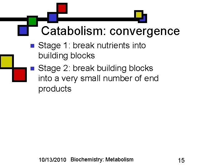 Catabolism: convergence n n Stage 1: break nutrients into building blocks Stage 2: break