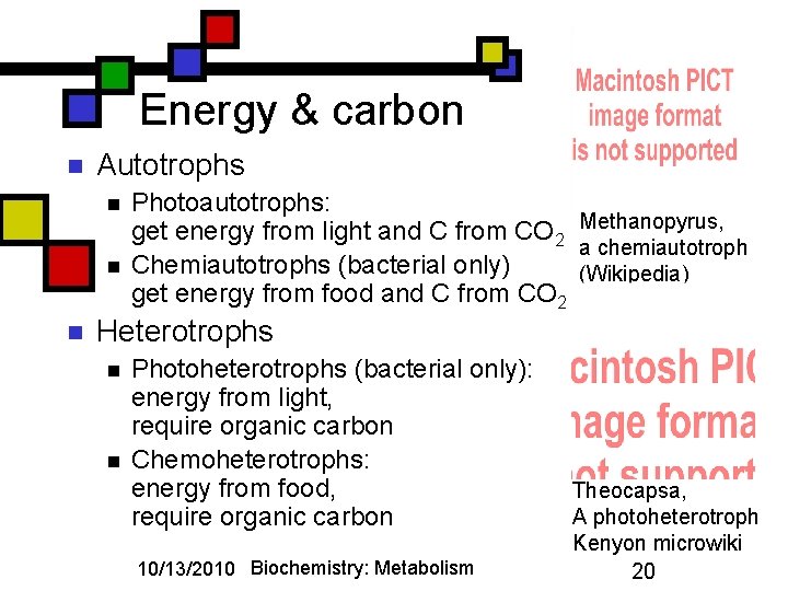 Energy & carbon n Autotrophs n n n Photoautotrophs: get energy from light and