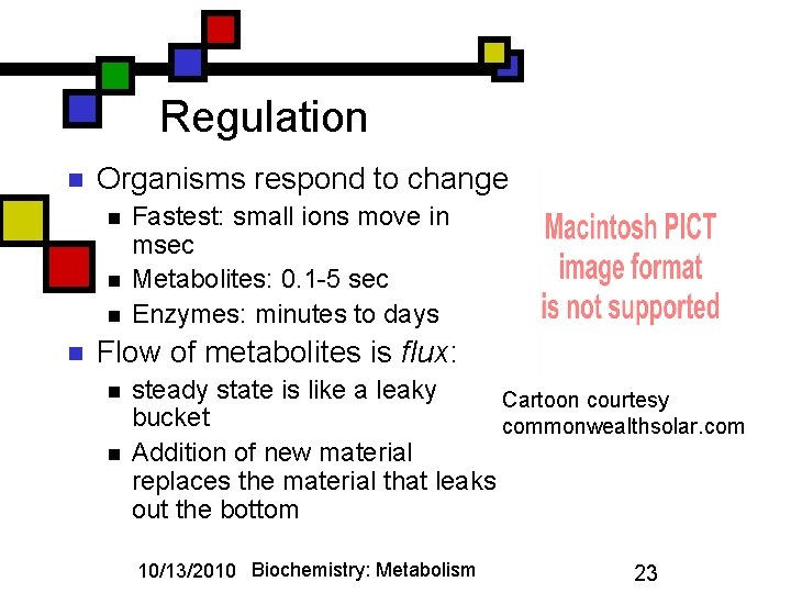 Regulation n Organisms respond to change n n Fastest: small ions move in msec