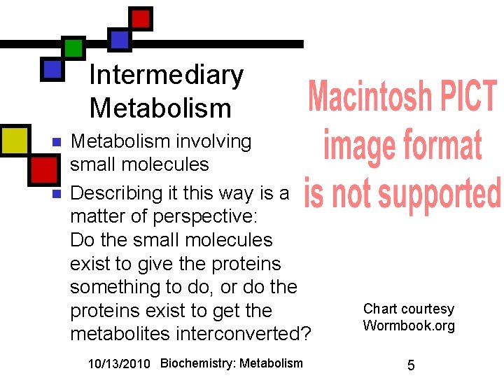 Intermediary Metabolism n n Metabolism involving small molecules Describing it this way is a