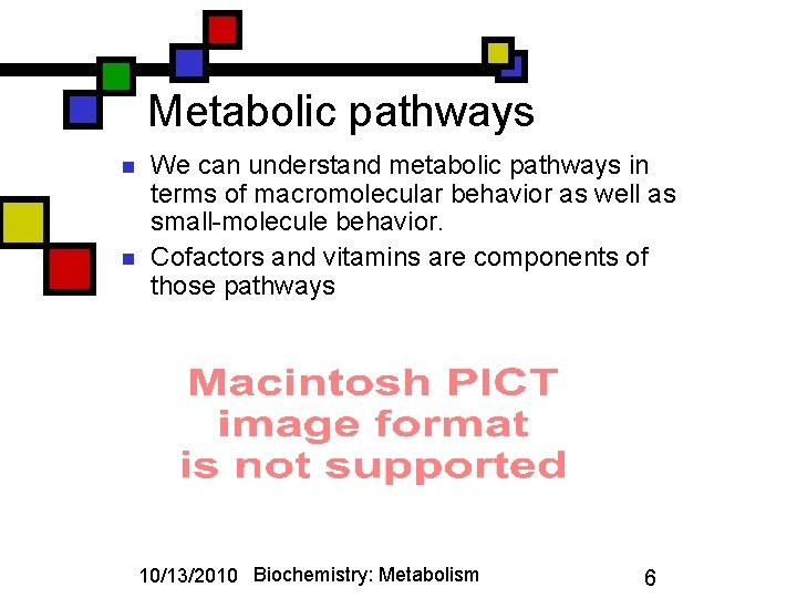 Metabolic pathways n n We can understand metabolic pathways in terms of macromolecular behavior