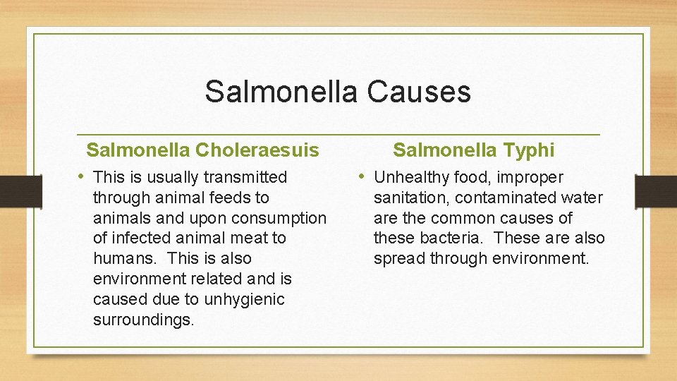 Salmonella Causes Salmonella Choleraesuis • This is usually transmitted through animal feeds to animals