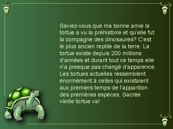 Saviez-vous que ma bonne amie la tortue a vu la préhistoire et qu’elle fut