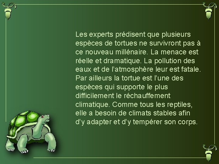 Les experts prédisent que plusieurs espèces de tortues ne survivront pas à ce nouveau