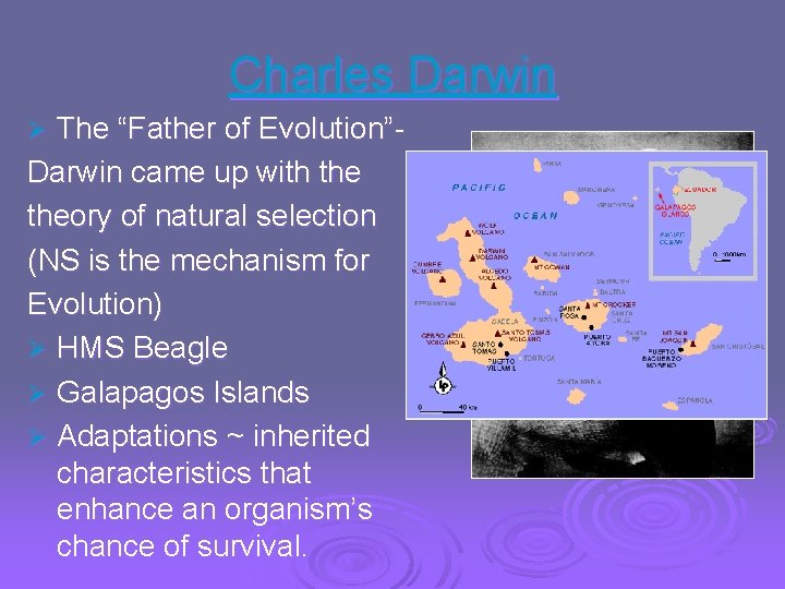 Charles Darwin The “Father of Evolution”Darwin came up with theory of natural selection (NS