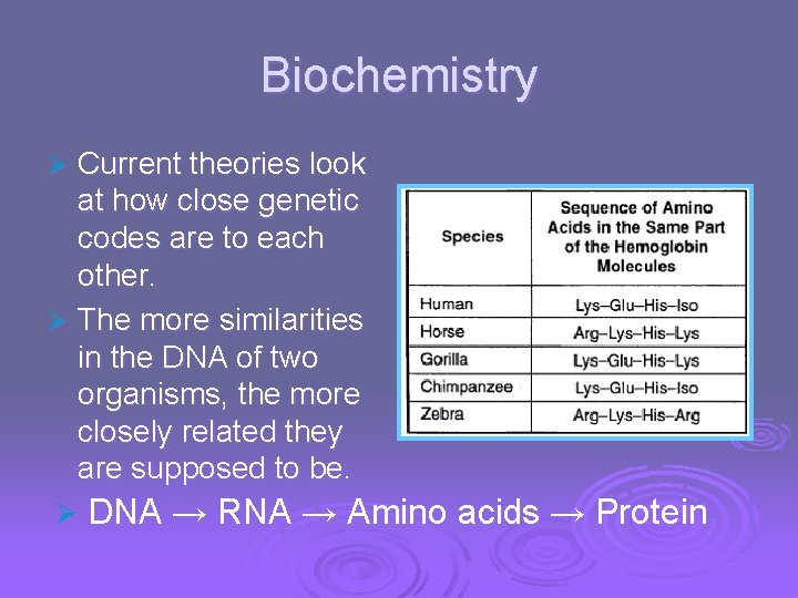 Biochemistry Current theories look at how close genetic codes are to each other. Ø