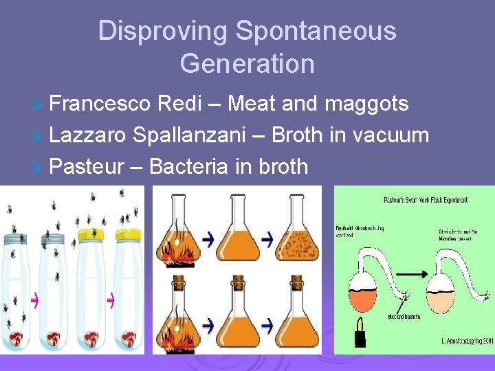 Disproving Spontaneous Generation Ø Francesco Redi – Meat and maggots Ø Lazzaro Spallanzani –