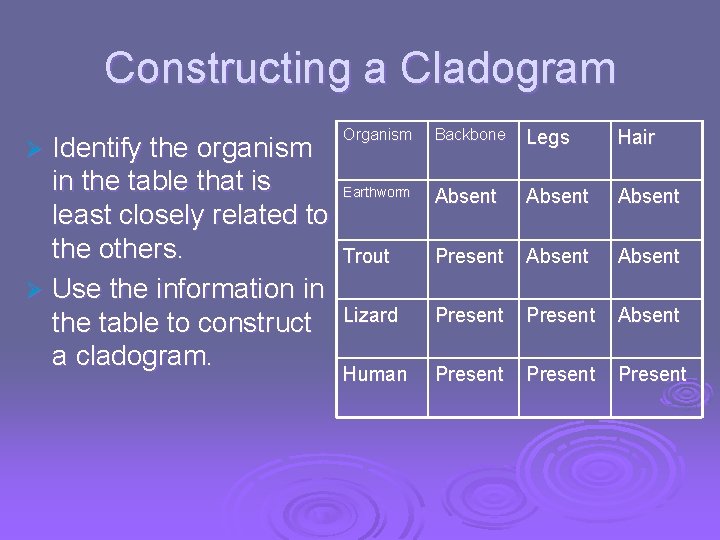 Constructing a Cladogram Identify the organism in the table that is least closely related