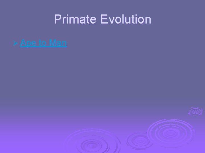 Primate Evolution Ø Ape to Man 