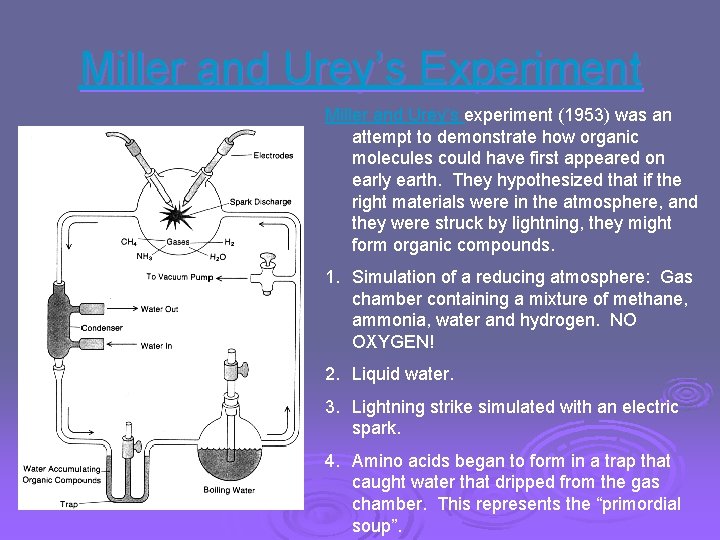 Miller and Urey’s Experiment Miller and Urey’s experiment (1953) was an attempt to demonstrate