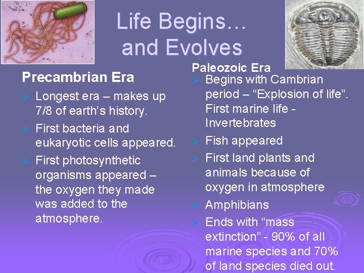 Life Begins… and Evolves Precambrian Era Longest era – makes up 7/8 of earth’s