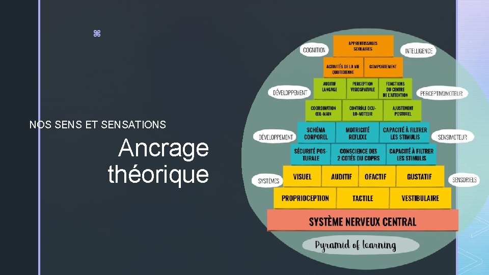 z NOS SENS ET SENSATIONS Ancrage théorique 