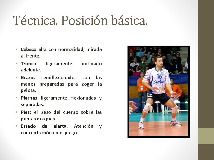 Técnica. Posición básica. • Cabeza alta con normalidad, mirada al frente. • Tronco ligeramente