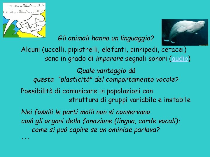 Gli animali hanno un linguaggio? Alcuni (uccelli, pipistrelli, elefanti, pinnipedi, cetacei) sono in grado