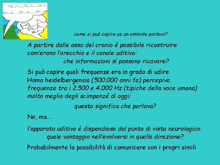 come si può capire se un ominide parlava? A partire dalle ossa del cranio