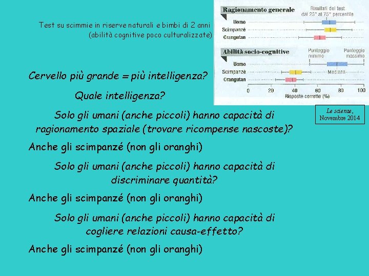 Test su scimmie in riserve naturali e bimbi di 2 anni (abilità cognitive poco