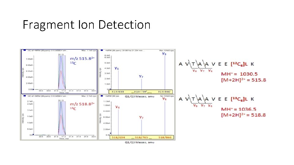 Fragment Ion Detection 