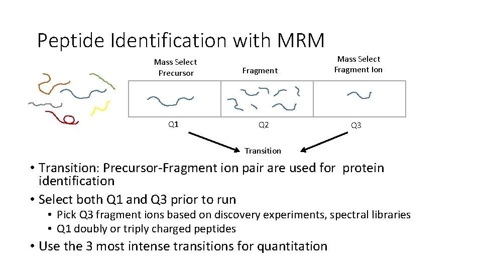 Peptide Identification with MRM Mass Select Precursor Q 1 Fragment Q 2 Mass Select
