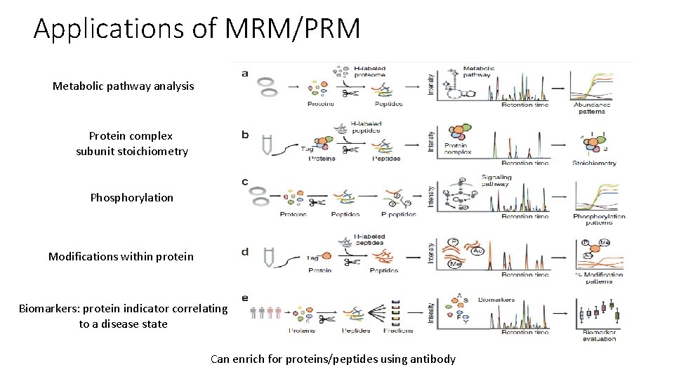 Applications of MRM/PRM Metabolic pathway analysis Protein complex subunit stoichiometry Phosphorylation Modifications within protein